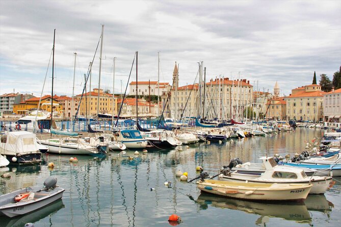 Piran & Panoramic Slovenian Coast - Small Group Tour from Koper - Food and wine at a local café