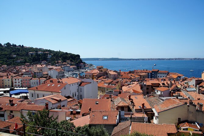 Piran & Panoramic Slovenian Coast - Small Group Tour from Koper - What the $107.23 price gets you