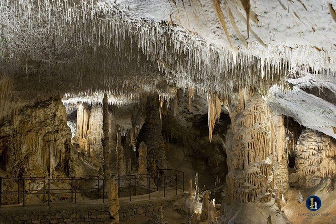 Postojna cave, Predjama castle and Piran tour from Ljubljana - The guides can shape the whole experience