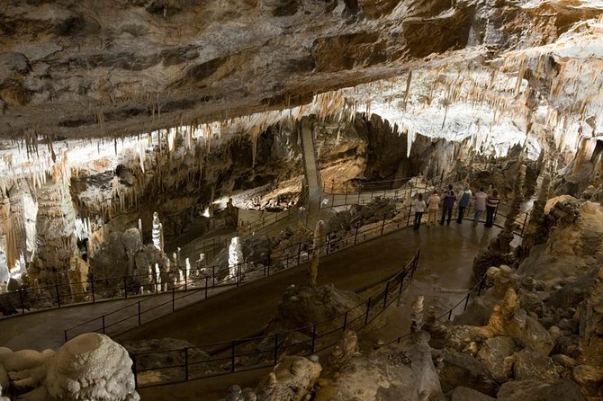 Postojna Cave with Train Ride and Predjama Castle Half Day Trip from Ljubljana - Why this half-day pairing works