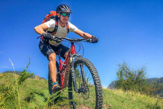 Private Biking Tour in Bohinj Valley - Waterfalls, alpine views, and a well-timed strudel stop