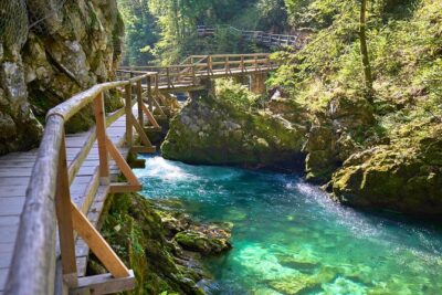 Private Bohinj & Vogel Tour from Bled