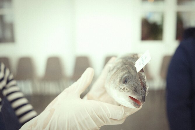 Private Mediterranean Fish Cooking Workshop with Irena - Cleaning and filleting seabass