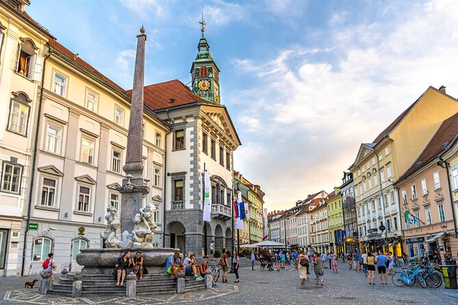 Private Tours in Slovenia from Koper - What the private vehicle adds