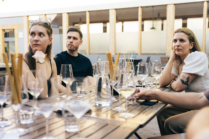 Private Wine Tasting Experience in Ljubljana - Who should book this Ljubljana wine experience
