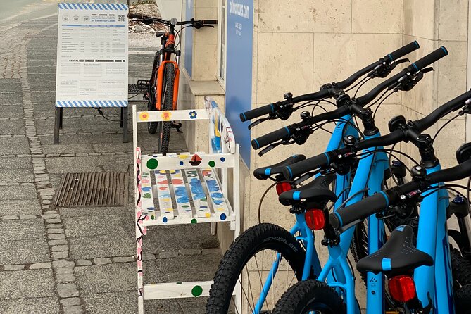 Rent a Mountain Bike in Bled - Who will get the most from this rental?