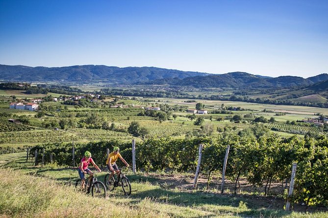 Secret vineyards E-bike tour - Key points before you book