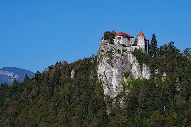 Shore Excursion/Private Tour - Lake Bled and Ljubljana from Koper - What the private guide adds