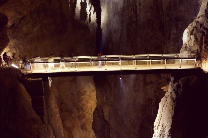 Skocjan Cave Day Trip From Ljubljana - Who should book this private cave trip?