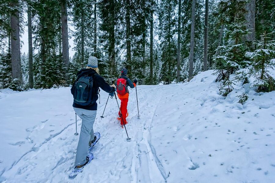 Snowshoeing in Triglav National Park - Why snowshoeing is a fine way to see Triglav National Park