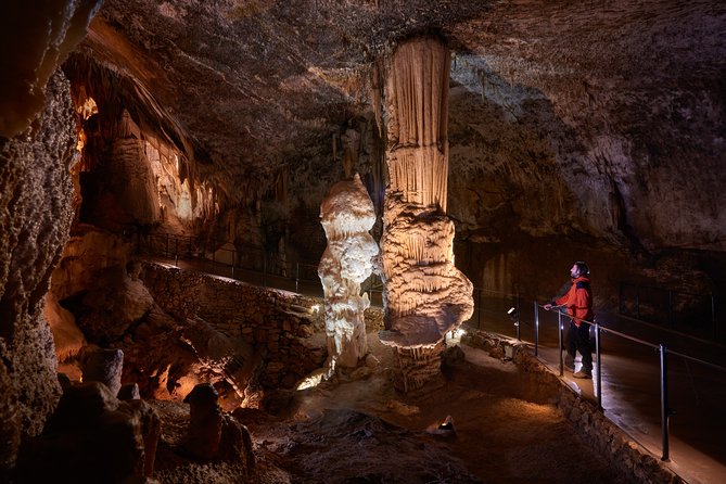 Tour to Postojna and Predjama Castle from Koper - The most common disappointments to avoid