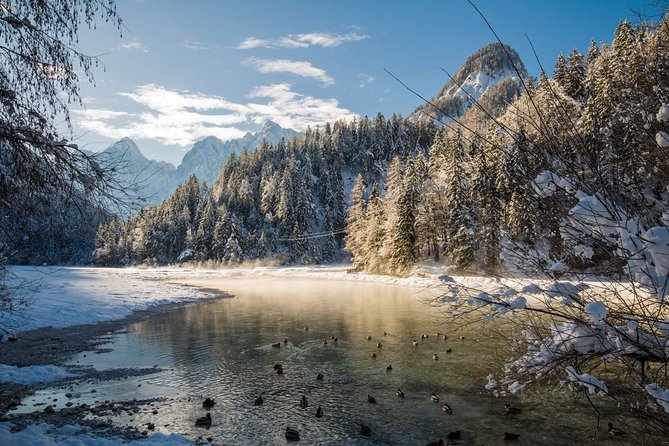Triglav National Park and the Alps Private tour - Why this Alpine day is worth your time