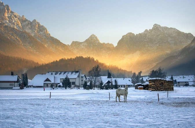 Triglav National Park and the Alps Private tour - Transport, timing, and practical limits