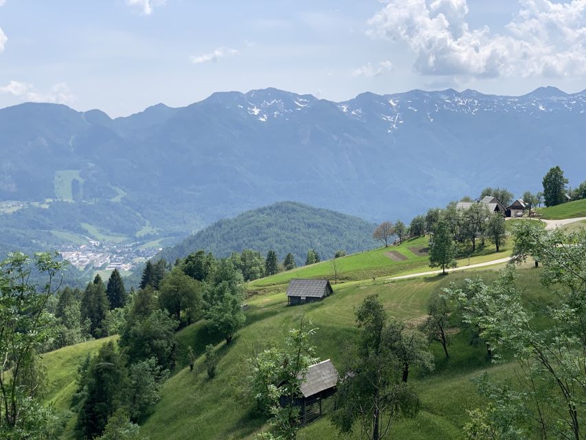 Triglav National Park Tour from Bled - Walking the boardwalks of Vintgar Gorge