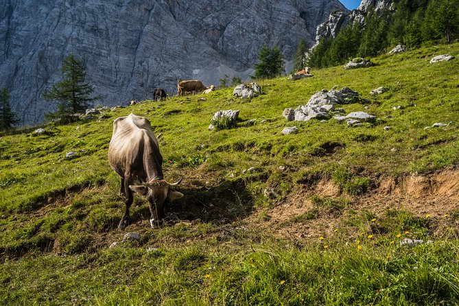 Triglav tour in 2 days Slovenia - Guides, safety, and the value of a planned ascent