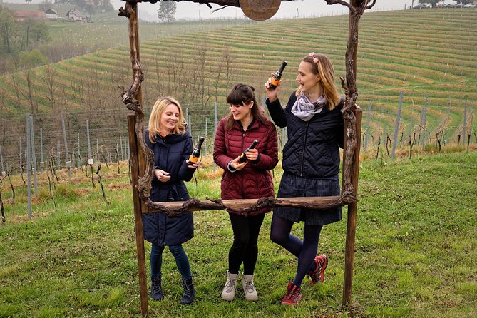 Wine and Culinary Adventure in Jeruzalem - Full Day Tour from Ljubljana or Ptuj - Three Boutique Cellars and What to Expect