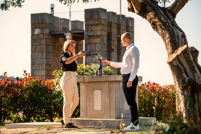 Wine Degustation in the Heart of Slovenian Istria - Key points to know before you book
