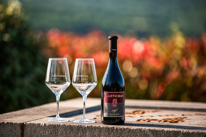 Wine Degustation in the Heart of Slovenian Istria - Why Santomas feels different from a standard tasting
