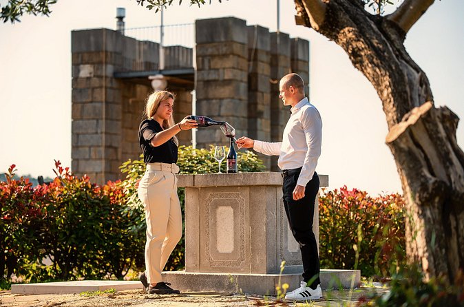 Wine Degustation in the Heart of Slovenian Istria - What the 90-minute schedule means for you
