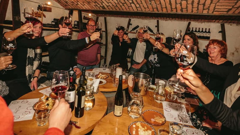 Wine Tasting Bled with a sommelier - Why the old cellar matters