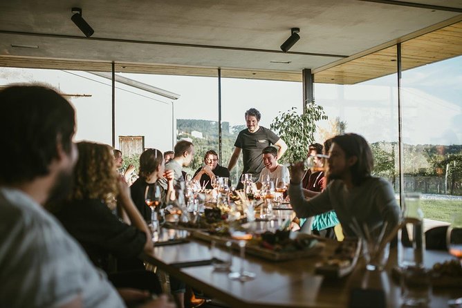 Wine Tasting with Pairing Snacks in Vipava Valley - Key points to know before booking