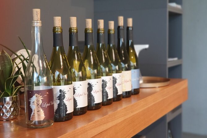 Wine Tasting with Pairing Snacks in Vipava Valley - Why this two-hour tasting feels personal
