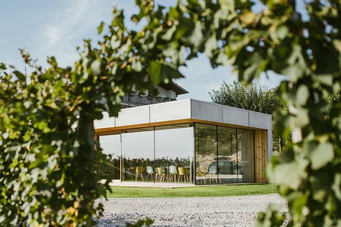 Wine Tasting with Pairing Snacks in Vipava Valley - Arriving at Lepa Vida in Šempas