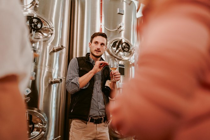 Wine Tours in Slovenia - Slovenian wine with snacks and local food