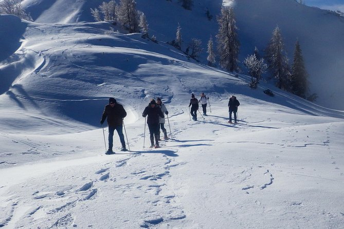 Winter Fairytale - Triglav National Park Half Day Trip - Why this winter day works so well