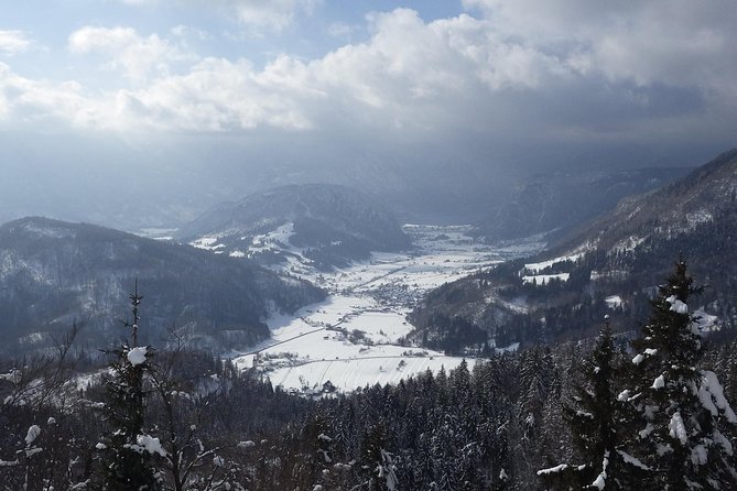 Winter Fairytale - Triglav National Park Half Day Trip - Snowshoeing through Pokljuka’s forest