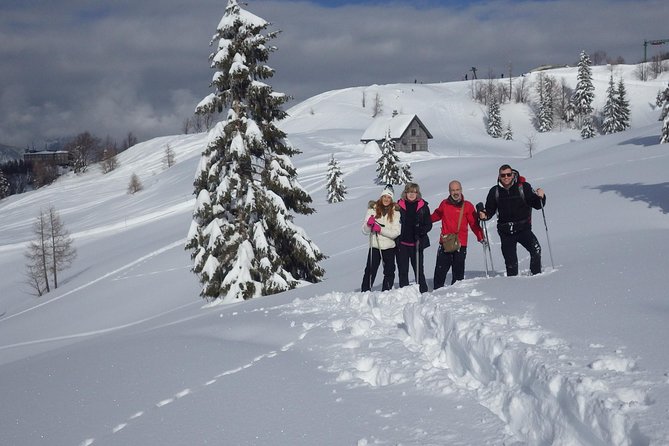 Winter Fairytale - Triglav National Park Half Day Trip - Physical effort, clothing, and winter conditions